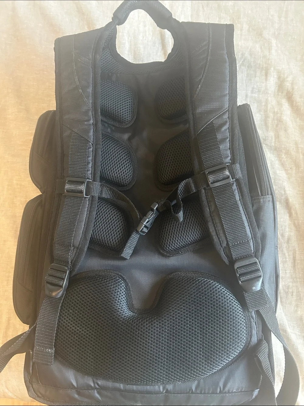 Arizona Coyotes Antigua Backpack